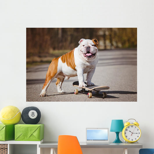 English Bulldog Skateboard Wall Decal