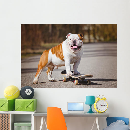English Bulldog Skateboard Wall Decal