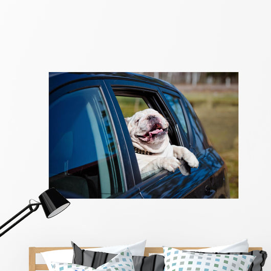 Doggone Happy Bulldog Wall Decal
