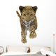 Leopard Wall Decal Design 2