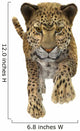 Leopard Wall Decal Design 2