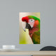 Harlequin Macaw Wall Decal
