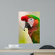 Harlequin Macaw Wall Decal