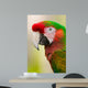 Harlequin Macaw Wall Decal
