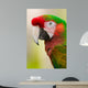 Harlequin Macaw Wall Decal