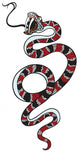 Snake Tattoo Wall Decal