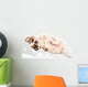 Portrait Chihuahua Puppy Wall Decal