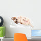 Portrait Chihuahua Puppy Wall Decal