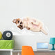 Portrait Chihuahua Puppy Wall Decal