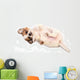 Portrait Chihuahua Puppy Wall Decal