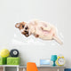 Portrait Chihuahua Puppy Wall Decal