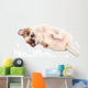 Portrait Chihuahua Puppy Wall Decal