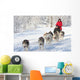 Husky Dogsled Team Wall Decal