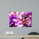 Beautiful Orchid Flowers Wall Decal