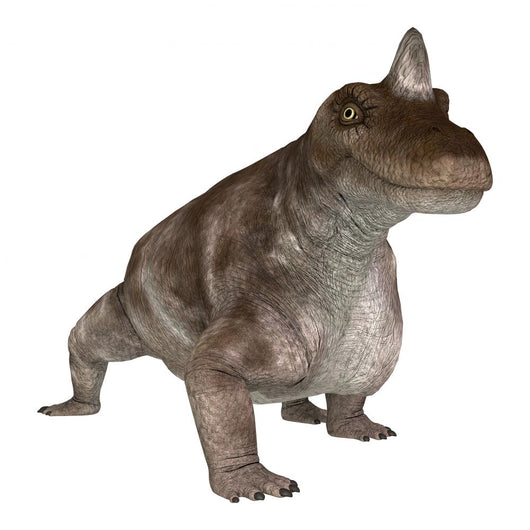 Dinosaur Keratocephalus Wall Decal Design 1