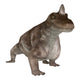 Dinosaur Keratocephalus Wall Decal Design 1