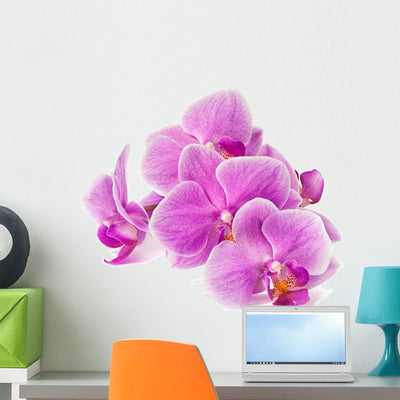 Branch Orchid Flowers White Wall Decal Design 2 shown on a wall