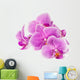 Branch Orchid Flowers White Wall Decal Design 2