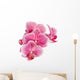Branch Orchid Flowers White Wall Decal Design 1