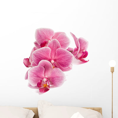 Branch Orchid Flowers White Wall Decal Design 1 shown on a wall