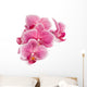 Branch Orchid Flowers White Wall Decal Design 1