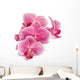 Branch Orchid Flowers White Wall Decal Design 1