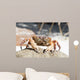 Hairy Leg Mountain Crab Wall Decal