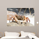 Hairy Leg Mountain Crab Wall Decal