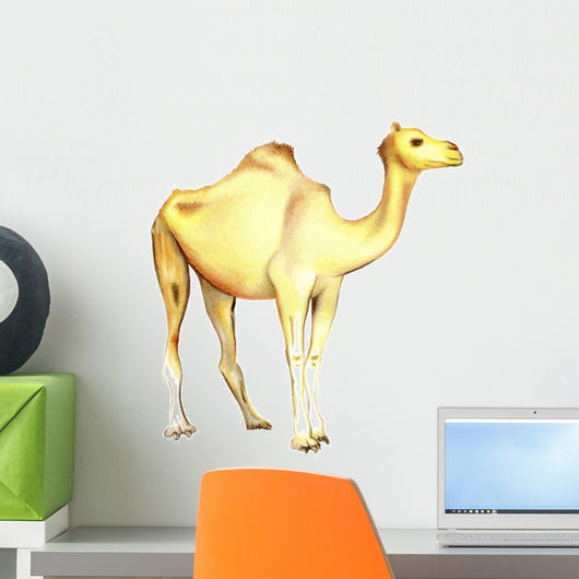 One-humped Camel White Wall Decal