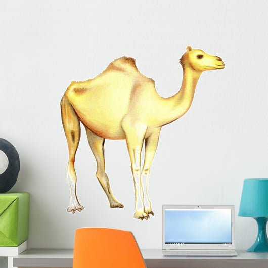One-humped Camel White Wall Decal