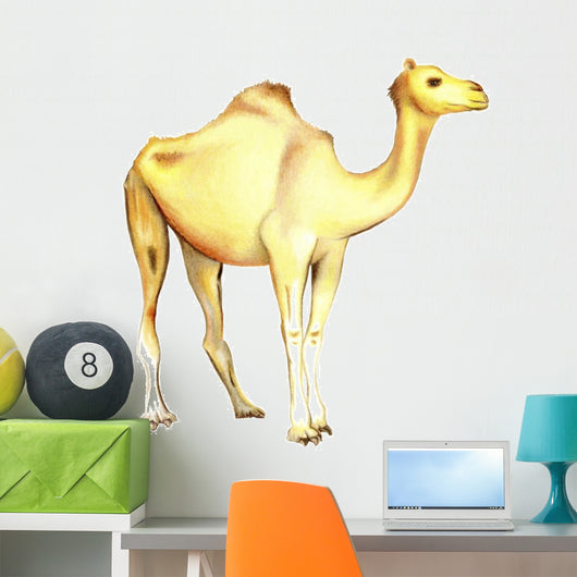 One-humped Camel White Wall Decal