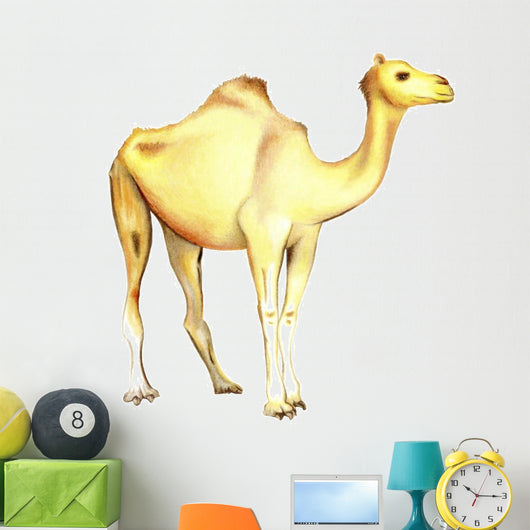 One-humped Camel White Wall Decal