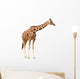 Giraffe White Wall Decal
