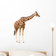 Giraffe White Wall Decal
