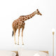 Giraffe White Wall Decal