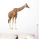Giraffe White Wall Decal