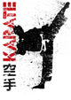 Karate Wall Decal