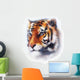 Tiger Illustration Wildlife Animals Wall Decal