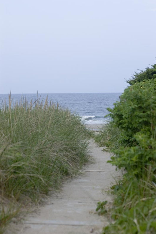 Path to Beach Wall Decal