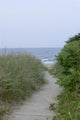 Path to Beach Wall Decal