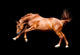 Galloping Chestnut Horse Black Wall Decal