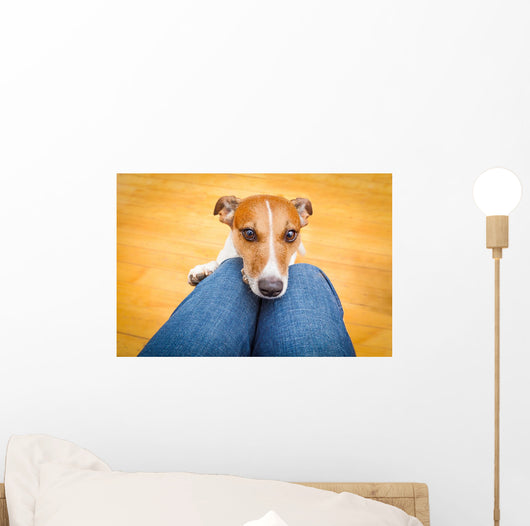 Dog Begging Lap Wall Decal