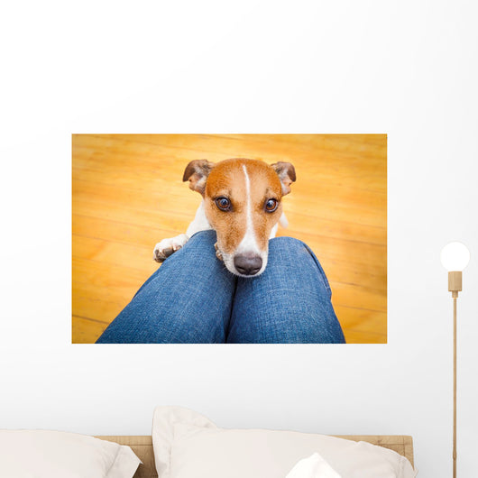 Dog Begging Lap Wall Decal