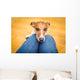 Dog Begging Lap Wall Decal