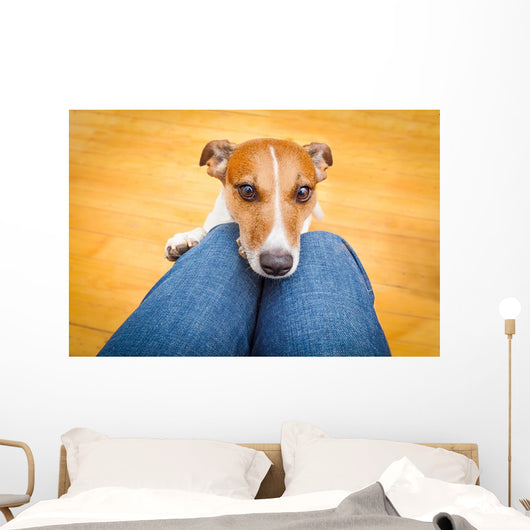 Dog Begging Lap Wall Decal