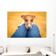 Dog Begging Lap Wall Decal