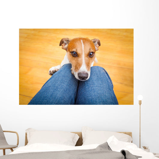 Dog Begging Lap Wall Decal