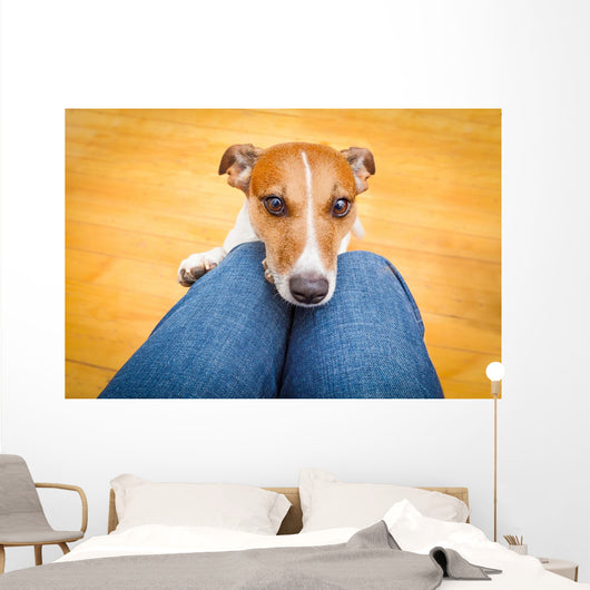 Dog Begging Lap Wall Decal