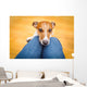 Dog Begging Lap Wall Decal