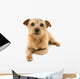 Norfolk Terrier Wall Decal